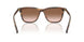 20P90P - Tortoise - Brown Gradient