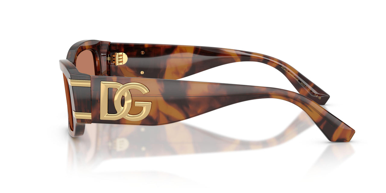 3497/3 - Tortoise - Brown