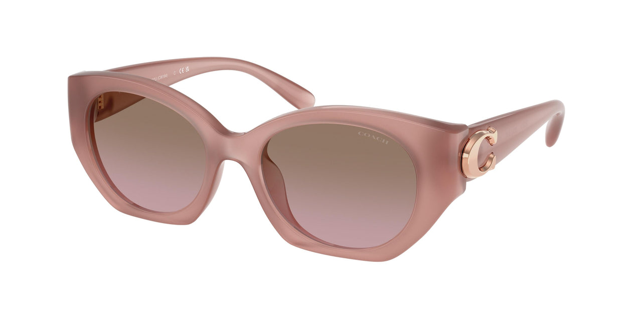 Coach Cw194 8407U Sunglasses