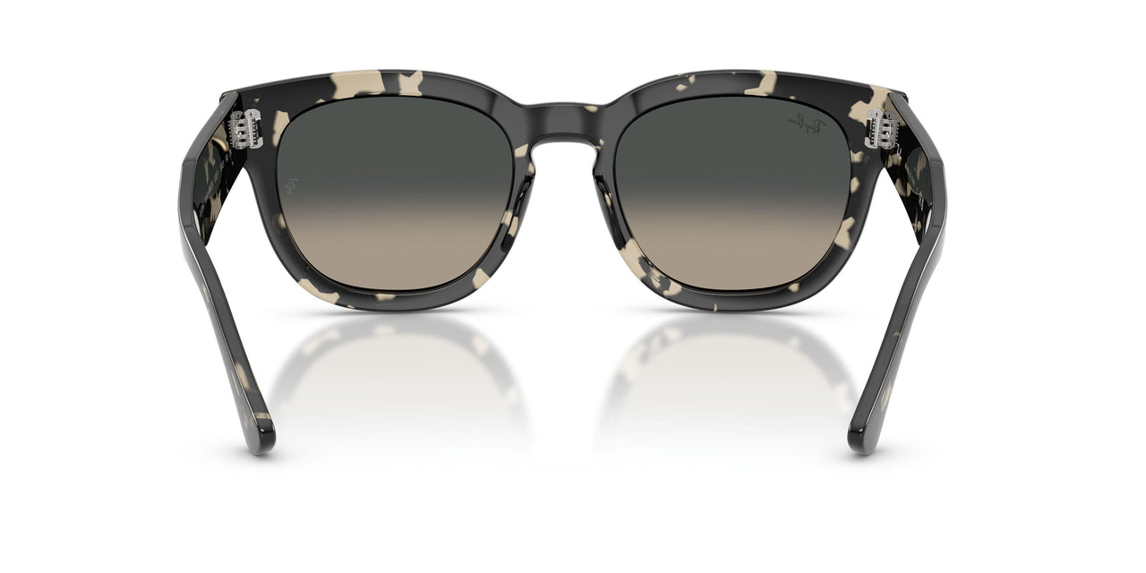 133371 - Tortoise - Grey Gradient