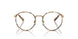 9449 - Tortoise - Light Blue