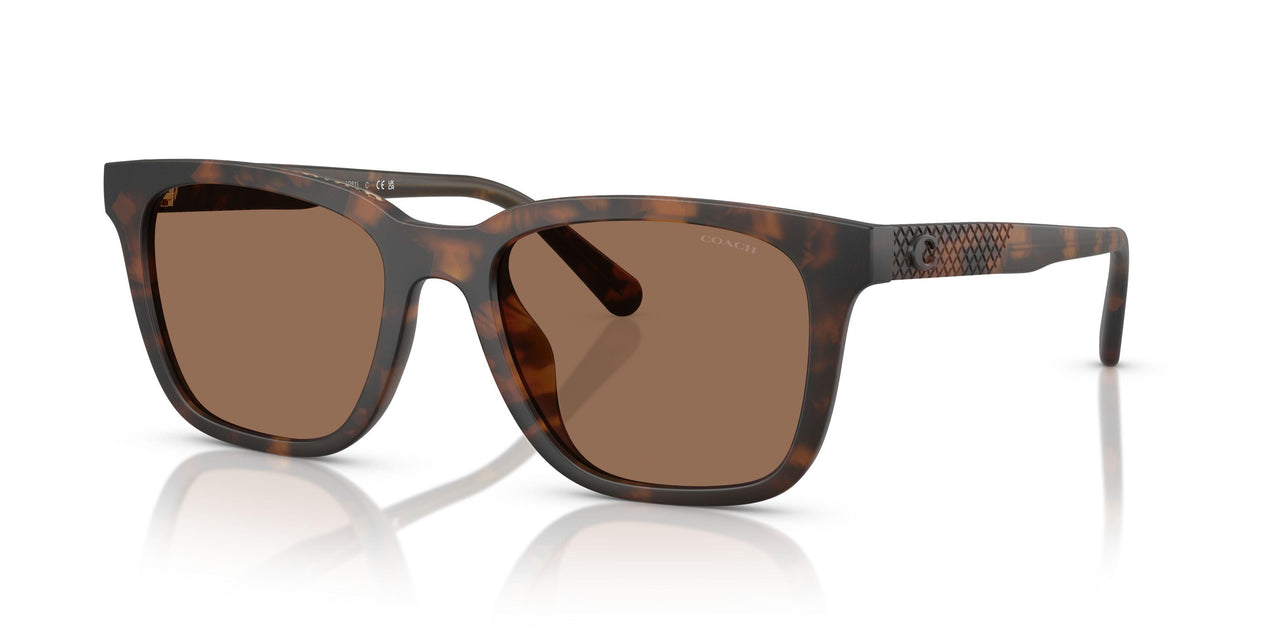 512073 - Tortoise - Brown Solid