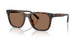 512073 - Tortoise - Brown Solid