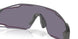 951310 - Grey - Prizm Grey