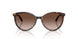 500213 - Tortoise - Gradient Brown