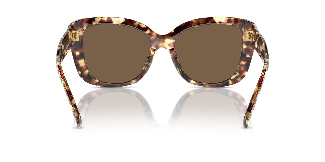 199573 - Tortoise - Dark Brown