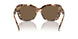 199573 - Tortoise - Dark Brown