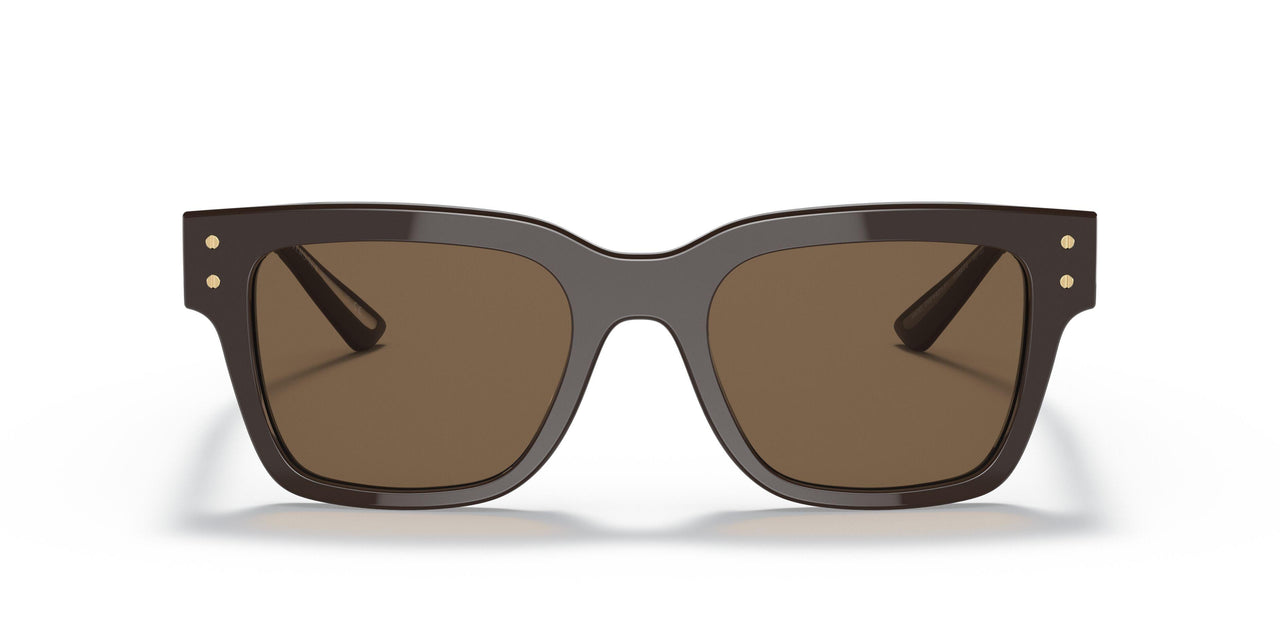 535673 - Brown - Dark Brown