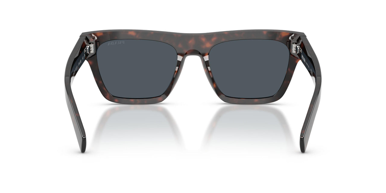 17N70B - Tortoise - Dark Grey
