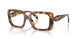 14L1O1 - Tortoise