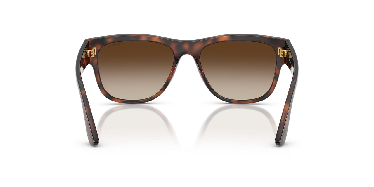271813 - Brown - Gradient Brown