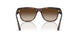 271813 - Brown - Gradient Brown