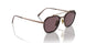 8016AF - Brown - Dark Violet Polar + Ar