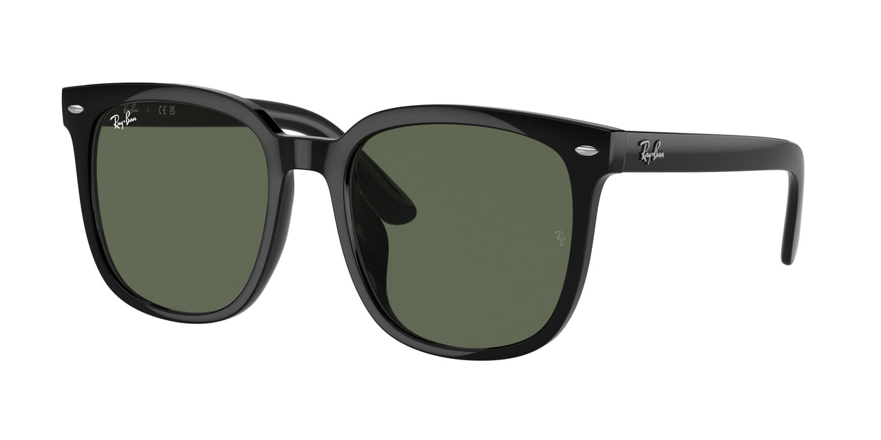 Ray-Ban 4401D Sunglasses