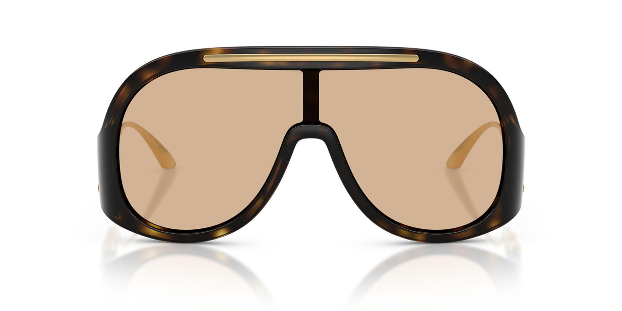502/93 - Tortoise - Brown
