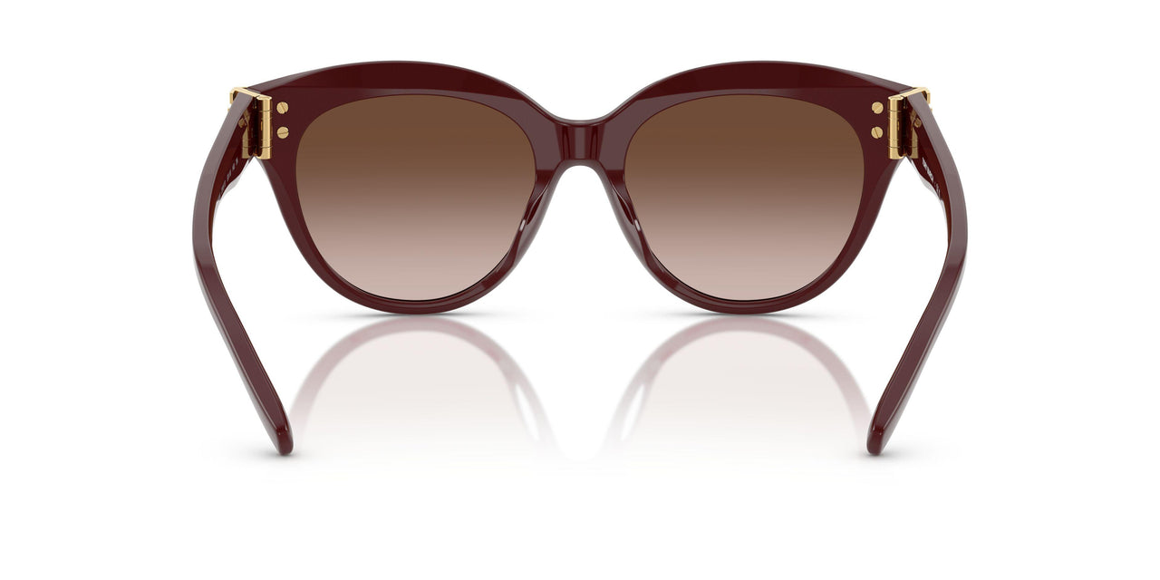 201813 - Red - Brown Gradient
