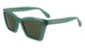 Salvatore Ferragamo SF2039SE Sunglasses