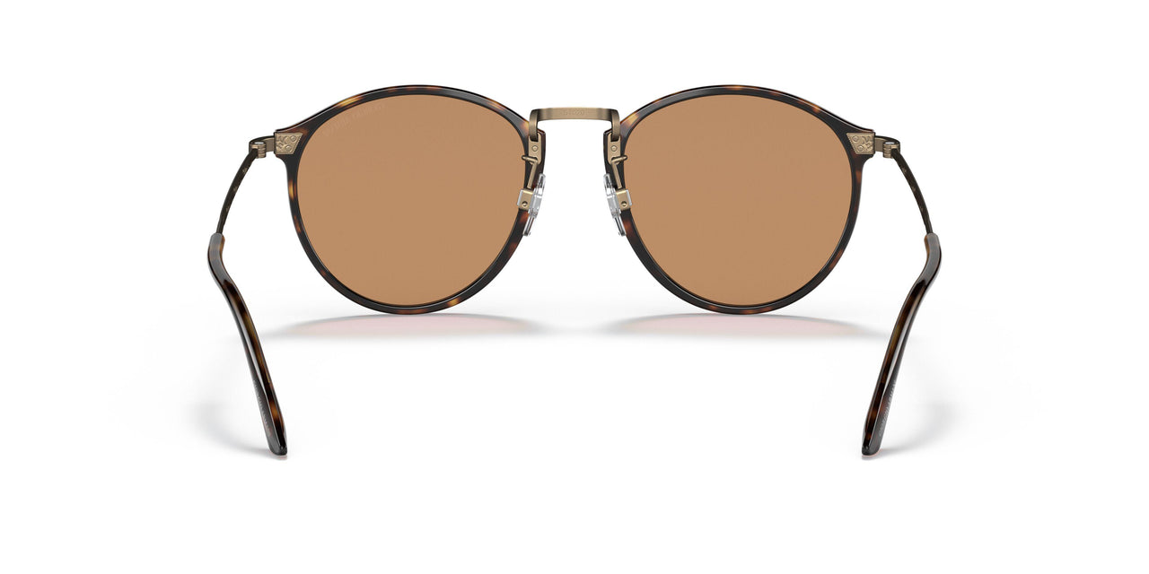 502653 - Havana - Brown