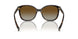 2AU6E1 - Tortoise - Polar Brown Gradient
