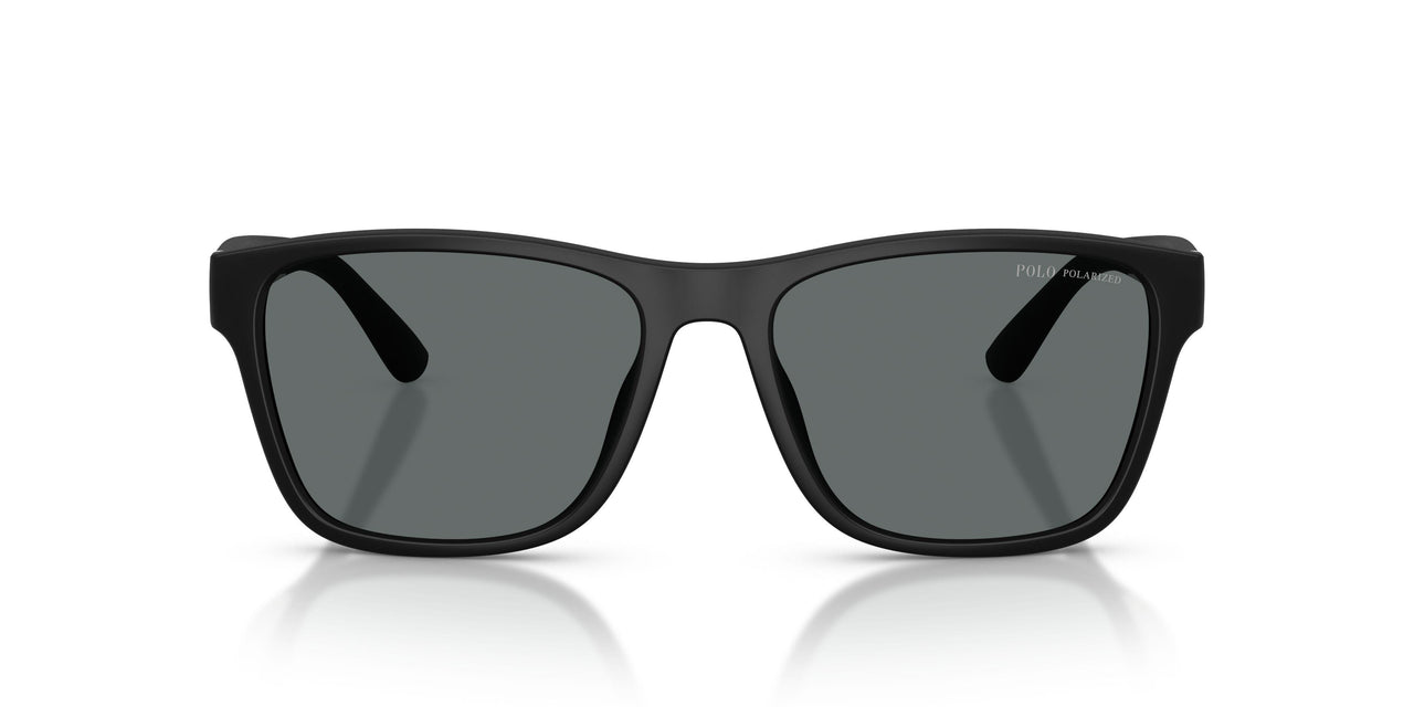 500181 - Black - Polar Dark Grey