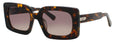 NUTRT/SMTP - Neutral Tortoise - Smoke To Taupe Gradient