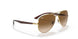 001/51 - Gold - Clear Gradient Brown