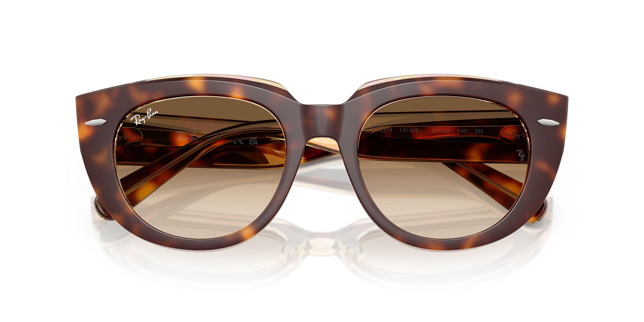 141451 - Tortoise - Clear Gradient Brown