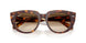 141451 - Tortoise - Clear Gradient Brown