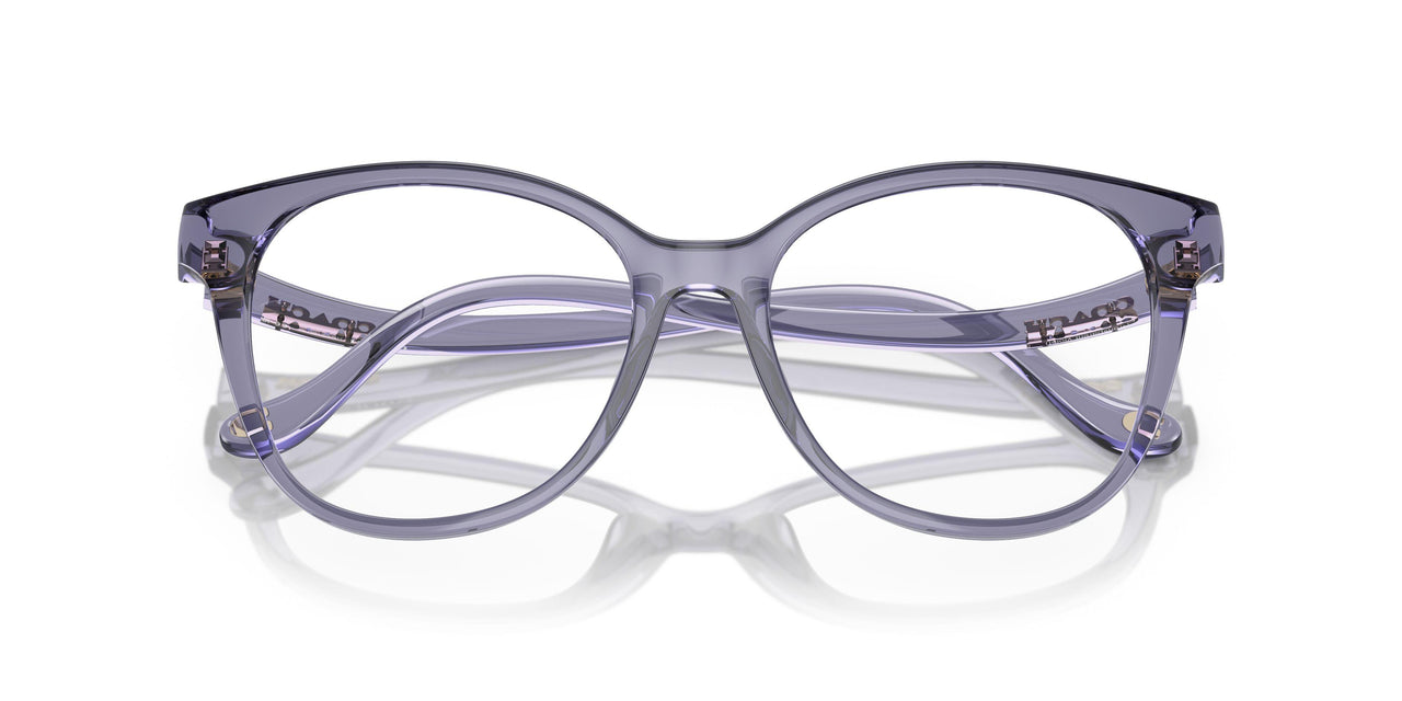 5568 - Violet