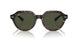 902/31 - Tortoise - Green