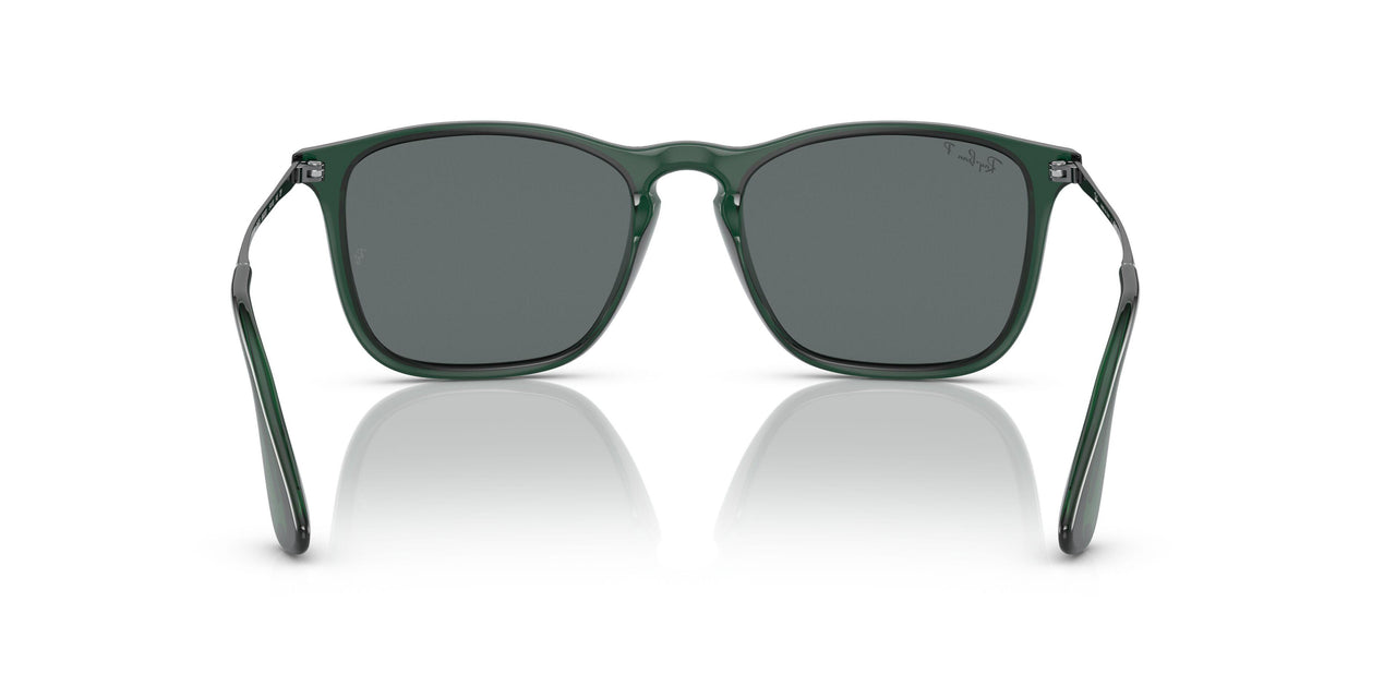 666381 - Green - Dark Grey Polar