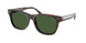 500371 - Tortoise - Bottle Green