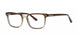 Modz LEXINGTON Eyeglasses