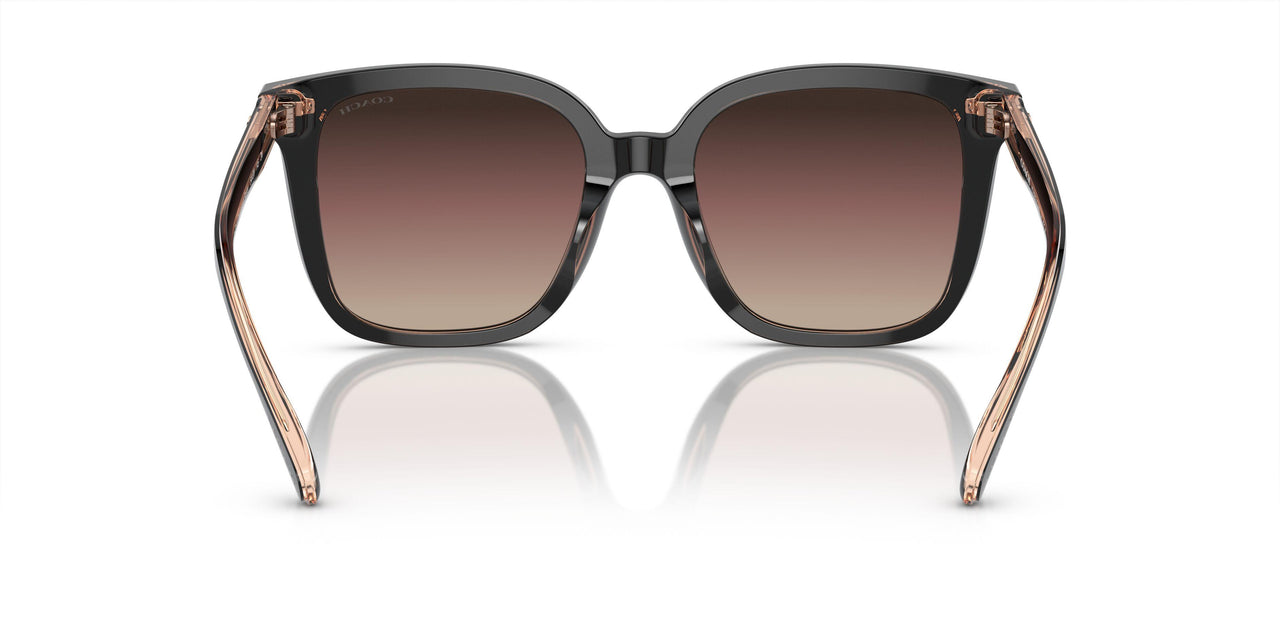 5781E2 - Black - Violet