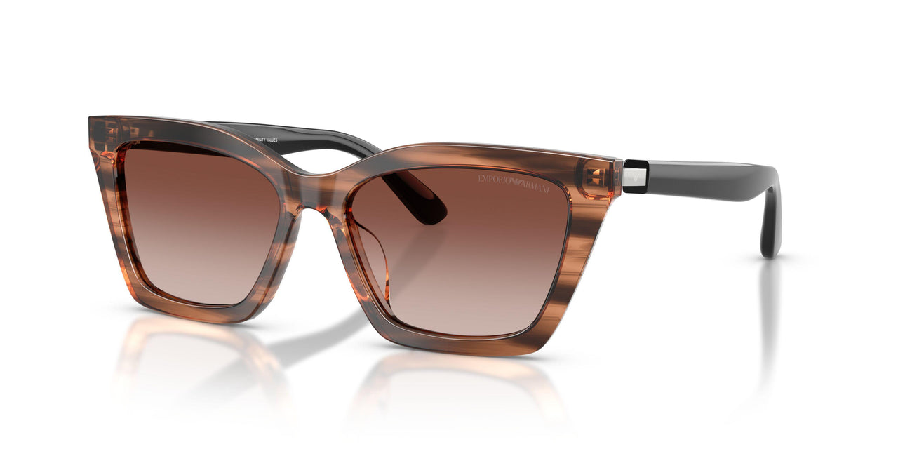 626613 - Brown - Gradient Brown