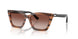 626613 - Brown - Gradient Brown