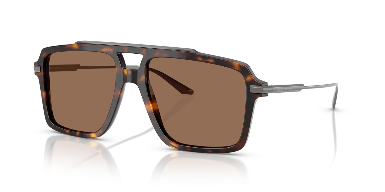502/73 - Tortoise - Dark Brown