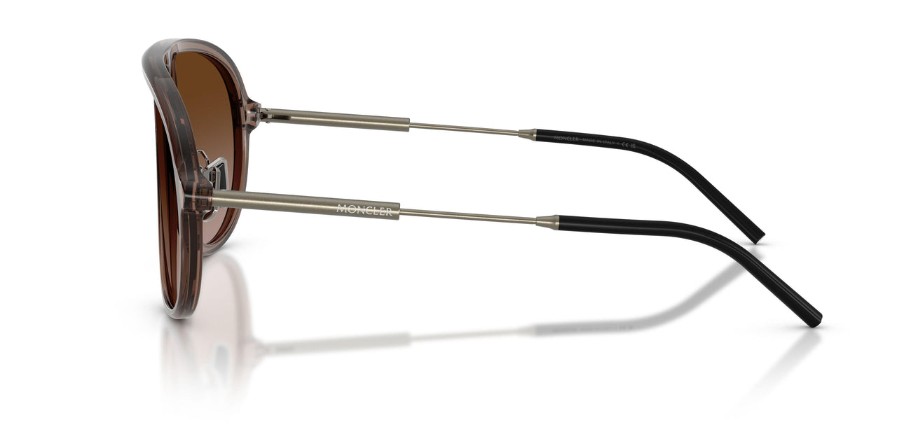 301813 - Brown - Gradient Brown