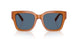 206980 - Brown - Blue