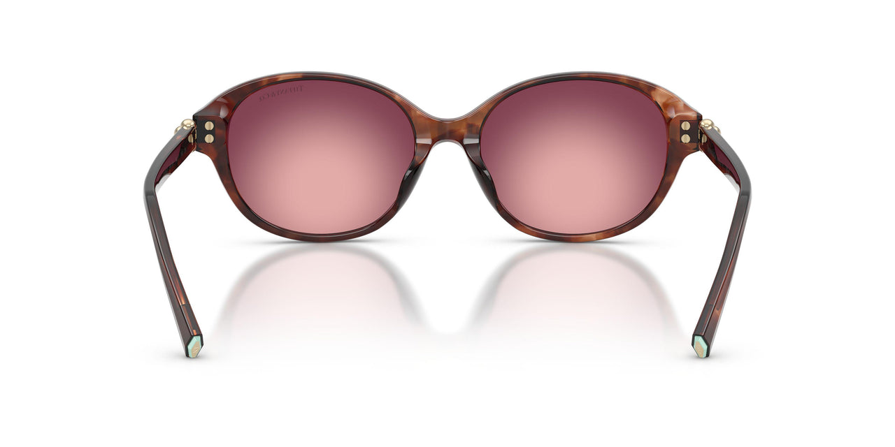 84218H - Brown - Pink/violet