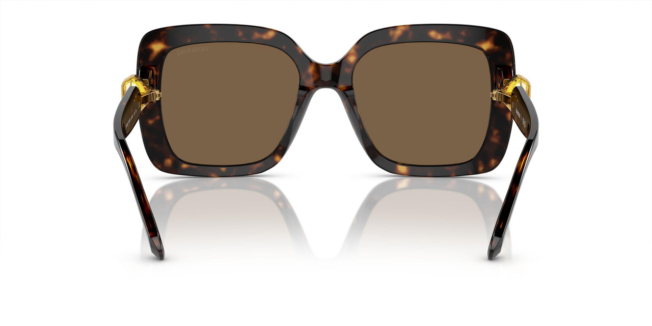100273 - Tortoise - Dark Brown