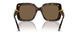 100273 - Tortoise - Dark Brown