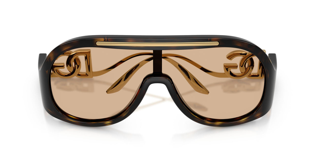 502/93 - Tortoise - Brown