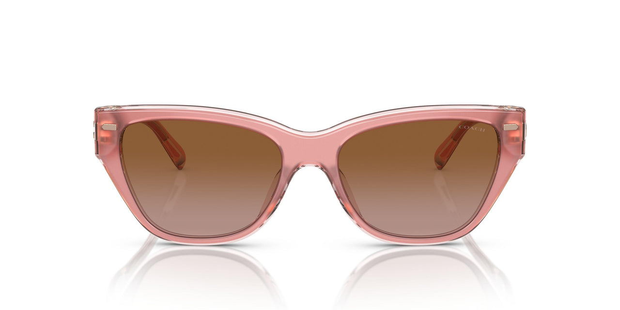 574313 - Pink - Brown Gradient