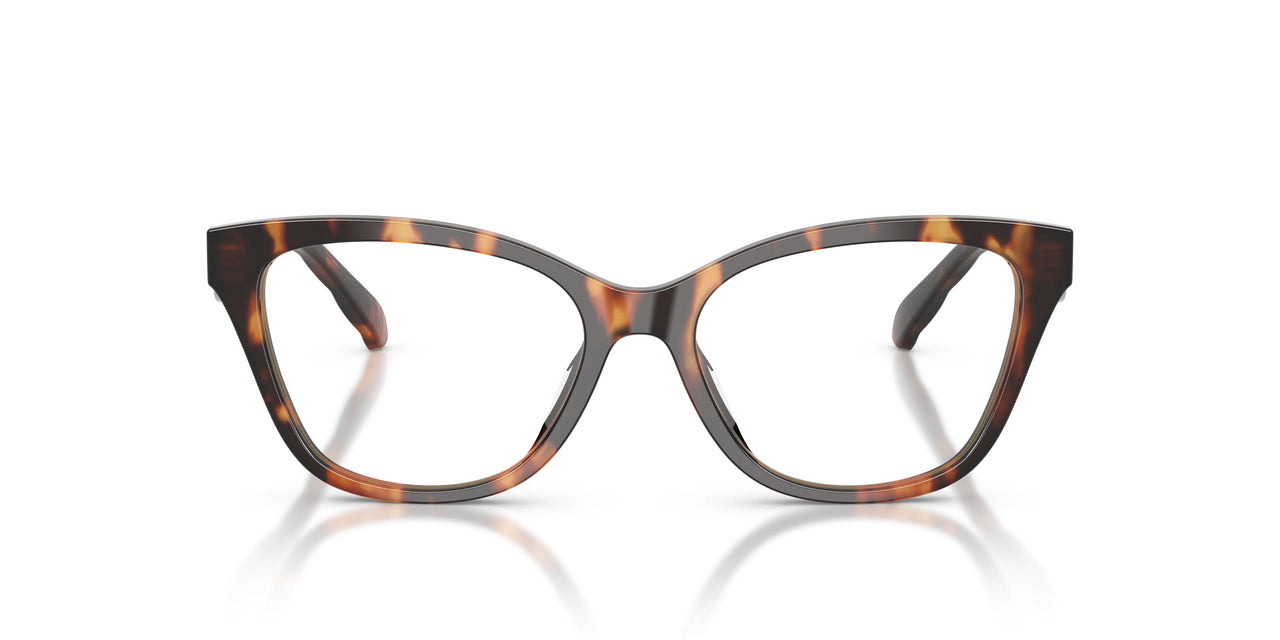 2066 - Multicolor