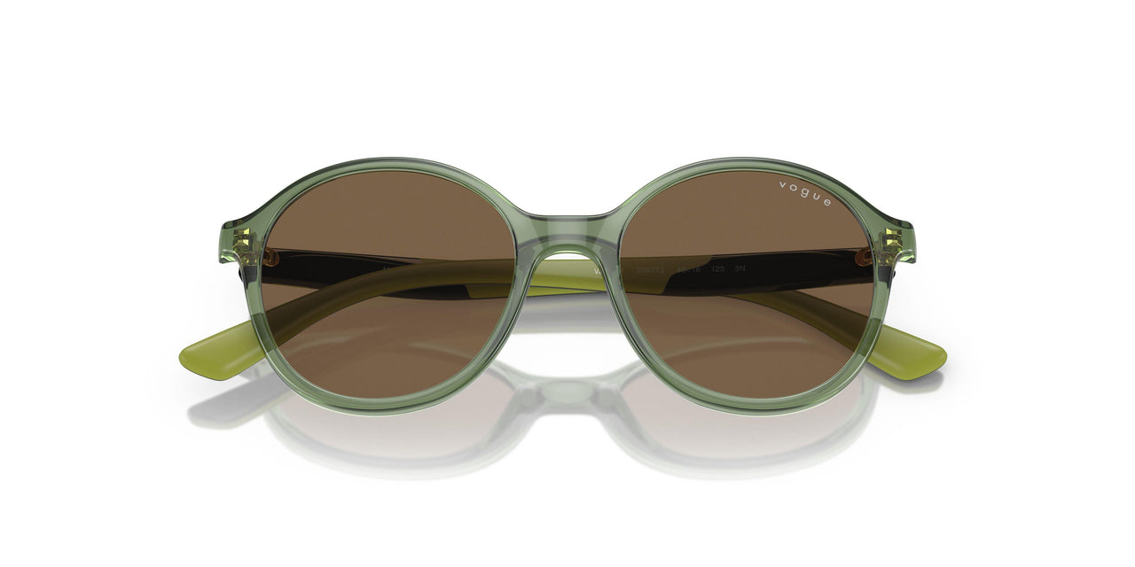 306773 - Transparent Dark Green - Dark Brown