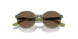 306773 - Transparent Dark Green - Dark Brown