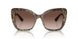 316313 - Leo Brown On Black - Brown Gradient