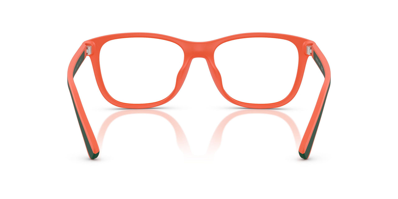 546080 - Orange - Dark Blue