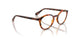 W656 - Brown